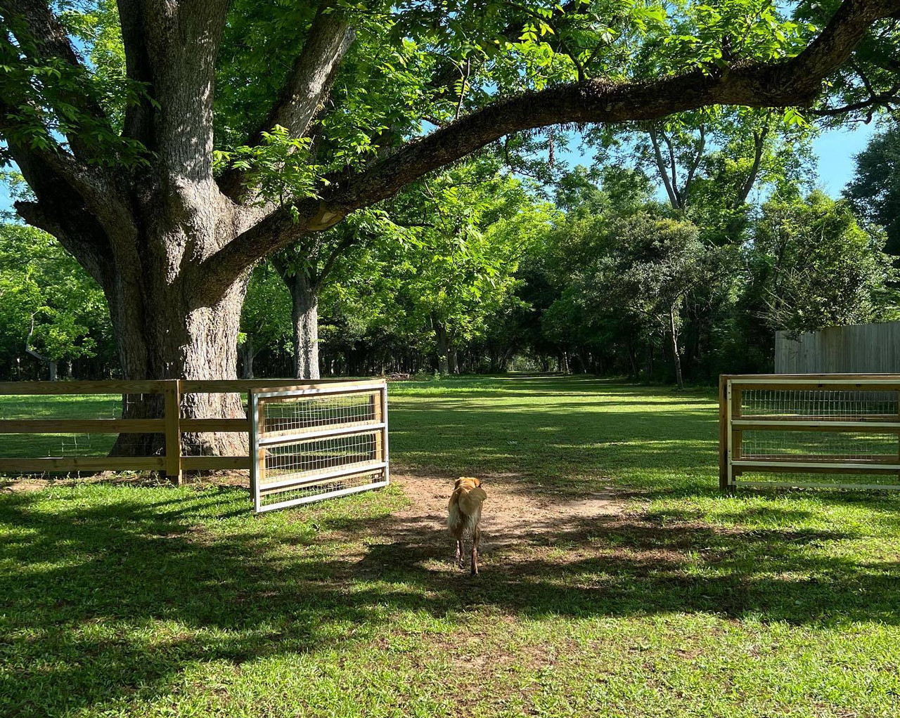 Colony Fence - Professional Fencing Services in Alabama - Baldwin County, Daphne, Fairhope, Spanish Fort